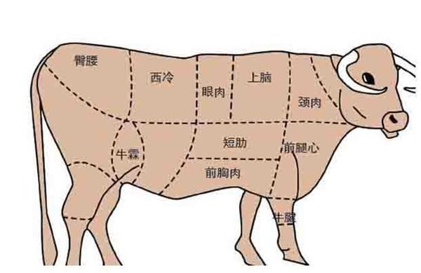 牛肉 一头牛全身宝,可你知道各个部位应该怎么做最好吃吗?