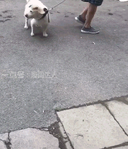 搞笑gif图:现在的蛋糕,真是越来越不正经了