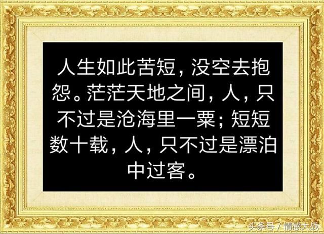 人生感悟!聪明人一辈子都不会说的三句话,看完都转了!