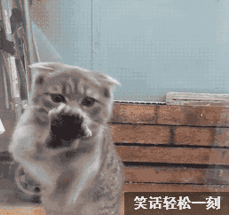 老师常常对着外面的树发呆,没人知道他在想什么,直到后来