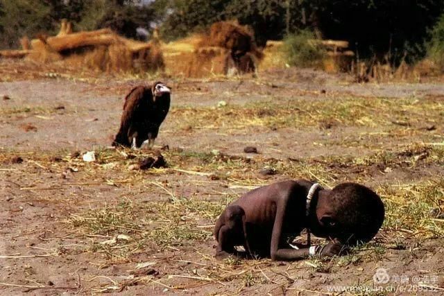 这是非洲大陆最绝望的写照----以最直白的方式颠覆了人们对饥饿的