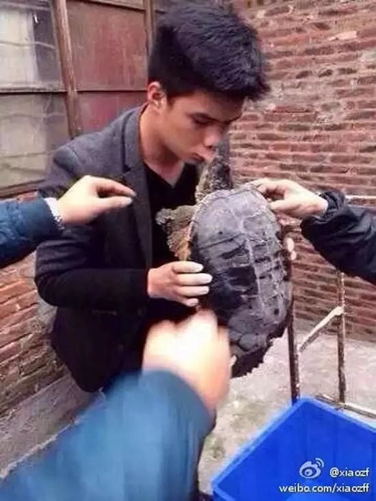 这人在天津卖鳄龟 放生它一个霍霍一海河的鱼