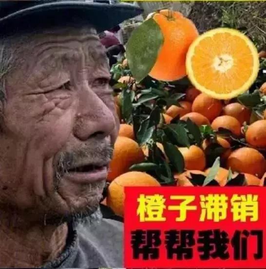 果农滞销请帮帮我们,网友:老头涉及多个产业,干啥啥不