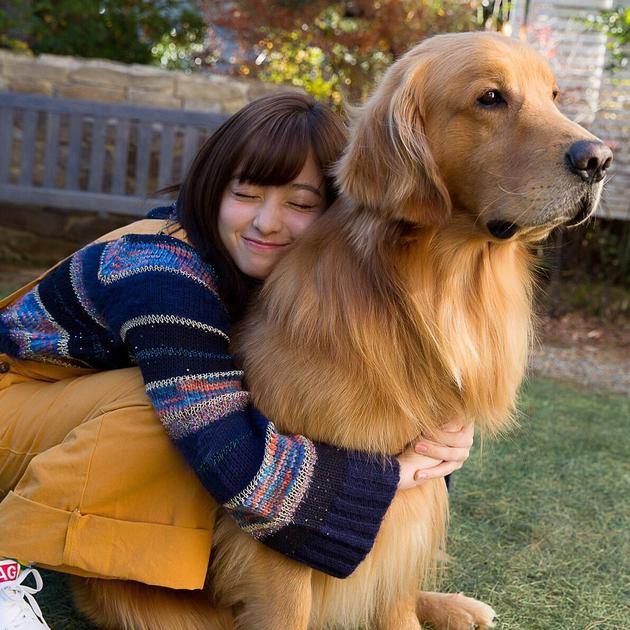 美国电影--《芭比之狗狗奇遇记》(国语)*