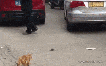 搞笑趣图:美女违反了哪些交通规则?