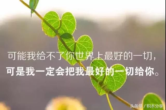朋友圈正能量人生感悟经典语句心情说说 生活感悟经典句子
