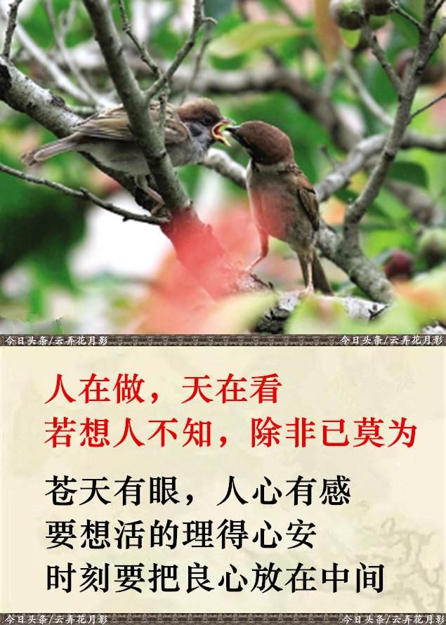 人在做,天在看!(句句入骨)