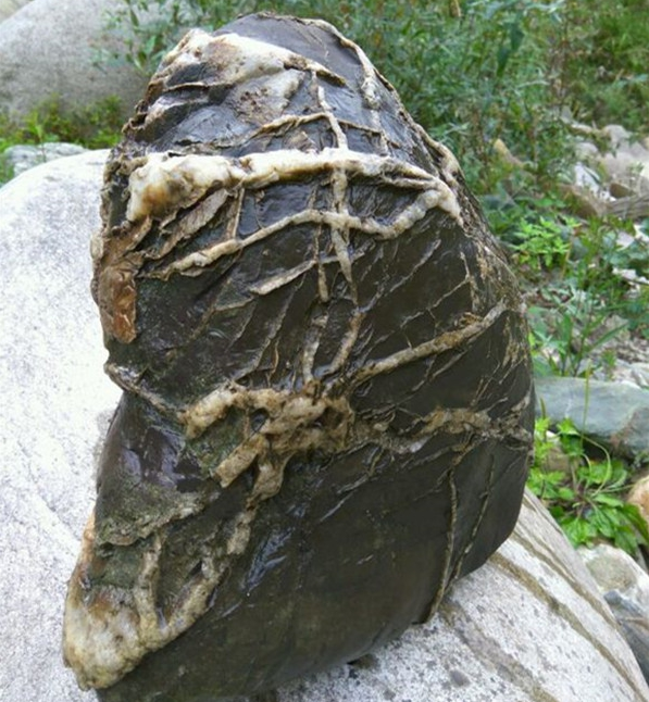 小伙河边散步捡到奇怪石头,看到石头上的纹路,专家说"
