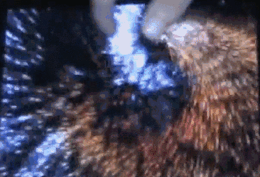 可是在之后的很长一段时间内,这家公司就再也没有遇到过这样疯狂的