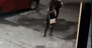 天上掉狗 女子当场被砸晕 可能会高位截瘫 视频再现全
