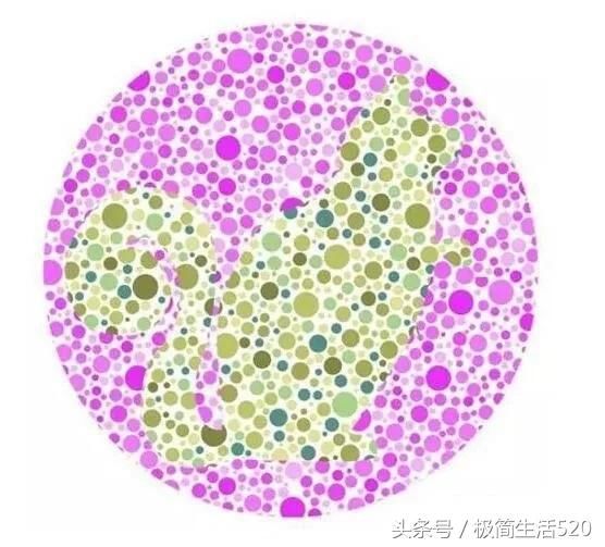 4,视力正常的人可以看出图中的动物,你看到了吗?