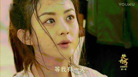 最终,楚乔与力求