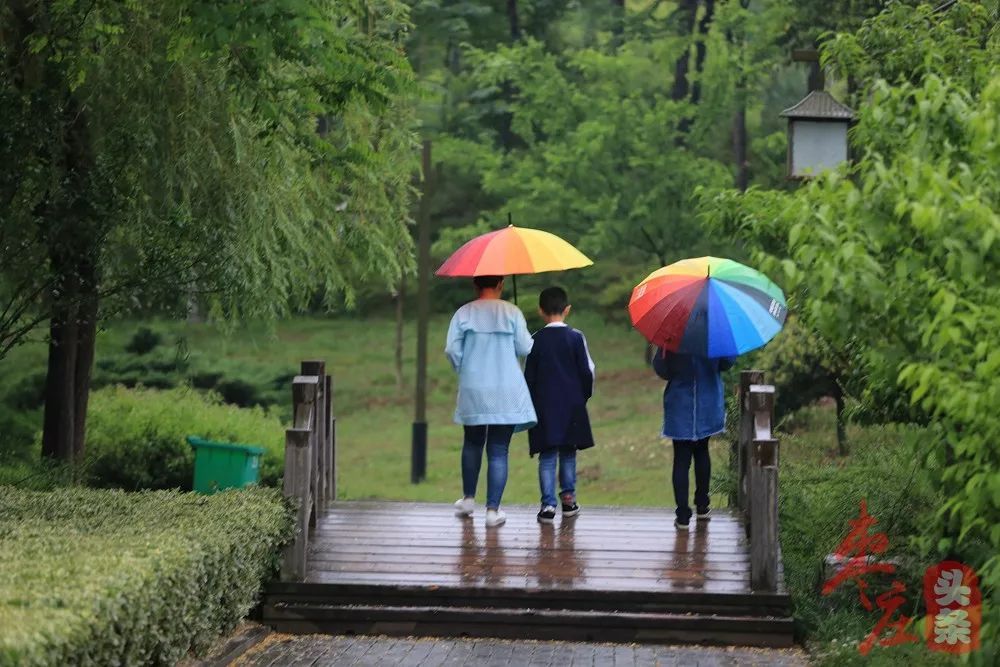 我喜欢雨和雨中的小花伞, 我们可以把脸在伞下藏着