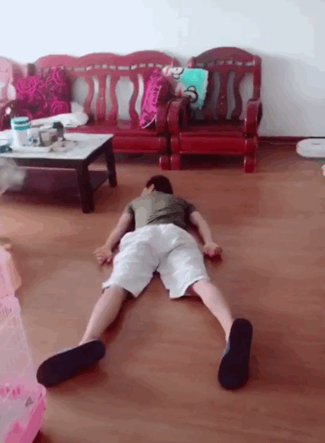 主人假装晕倒,狗狗会有什么样的表现呢?二哈:开心到飞