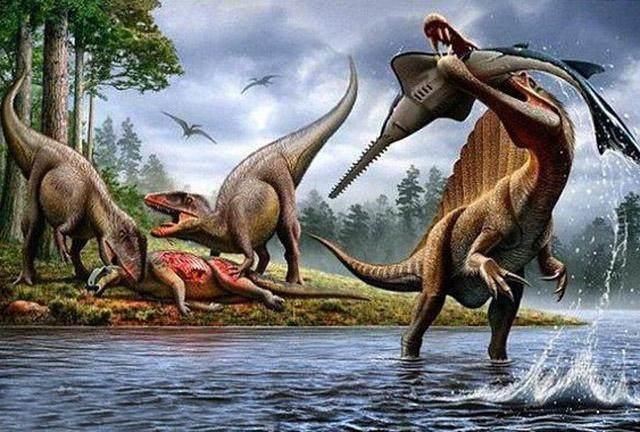 一类大型兽脚类肉食龙,其间的亚种埃及棘龙是现在已知最大的食肉恐龙