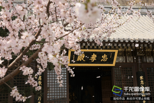 千灵山景区位于北京市丰台区王佐镇西北部的群山之中,距北京城30公里