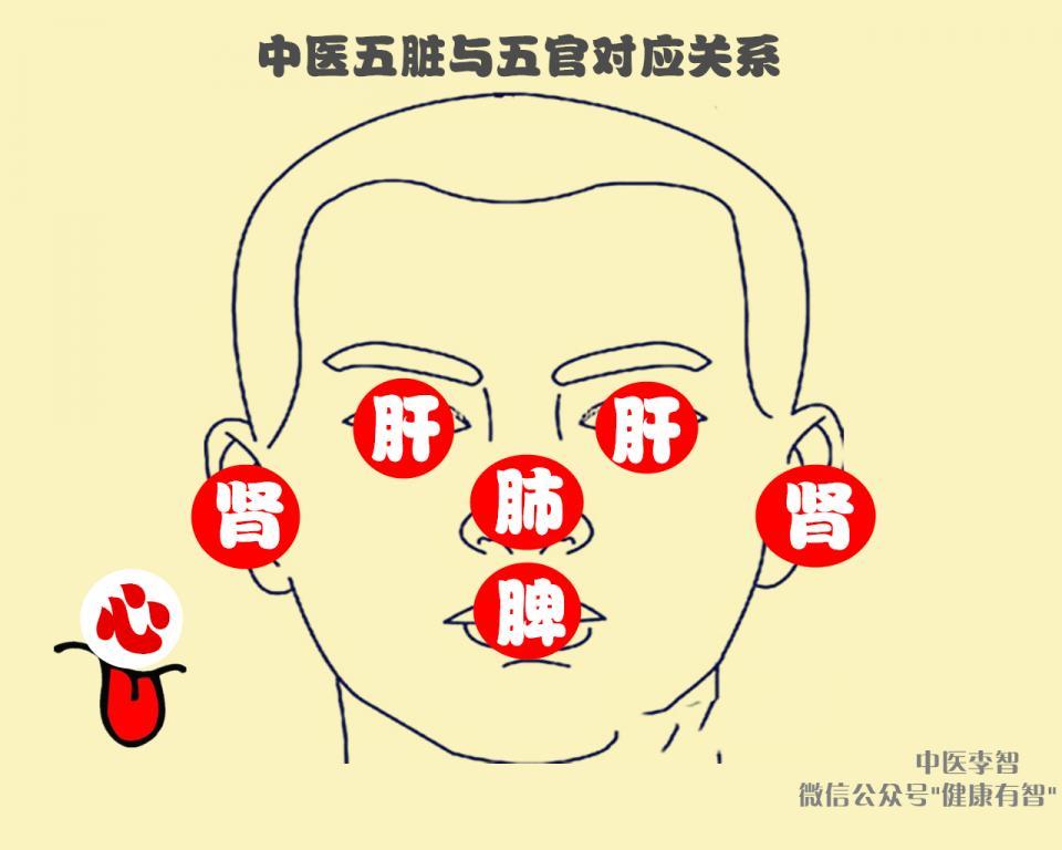 在这条大脉上有两个壮胆大穴,首先是日月穴--消除胆囊炎的壮胆大穴.