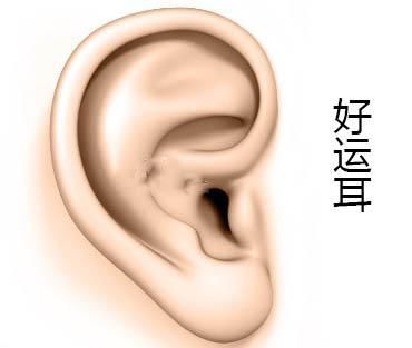 耳朵大就一定有福气吗?命理专家告诉你什么样的耳朵最