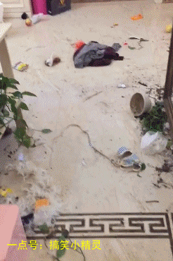 2.刚出去一会就这样了,求炖狗肉菜谱,在线等,急