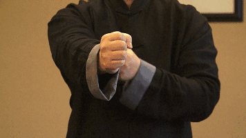 钟鹰扬详解《叶问》中咏春独门绝技