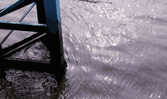 有日临近黄昏 我一个人站在江边 看着轻推向岸边的水波 无所事事地胡