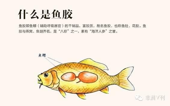 【中非之间】非洲的吃货必看--非洲土著饮食上的那些事儿