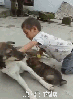 搞笑gif:如果我有这样的老师,我现在也不会搬砖!