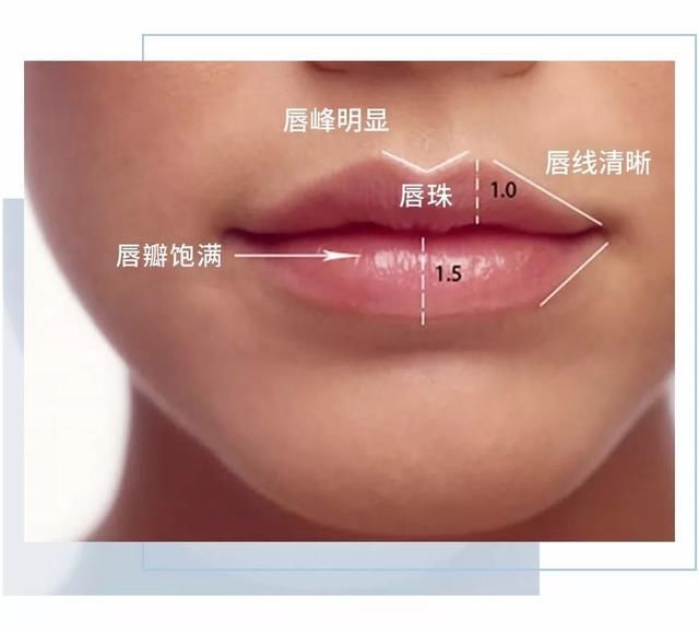的下唇 绝对是看一眼就想亲下去的嘴巴 而且从中国传统的面相学上说