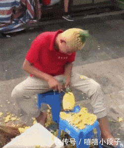 搞笑gif:大街上看美女不是你的错,但是树撞坏了你得赔