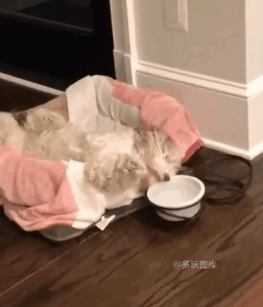 去了 1,新婚之夜,老公吧唧一声跪在床前拉住我的手很认真的说:媳妇,我