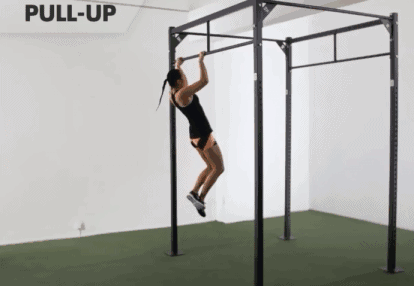 ▼反手引体向上