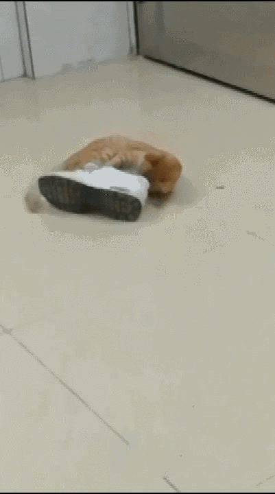 有酸酸臭臭的汗味,马上就能想到穿鞋的男生大汗淋漓的模样;有纺织物被