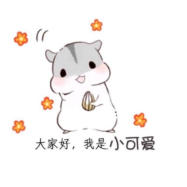 小可爱已经上线