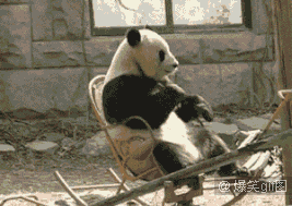鬼知道会发生什么 一张图告诉你为什么车斗里不能坐人 妹子饿了吗,想