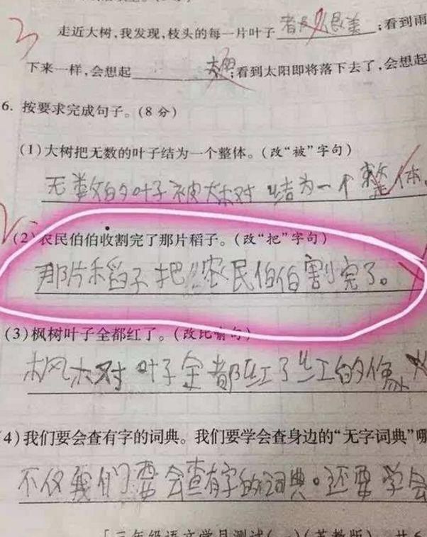 小学生搞笑奇葩作业,一个比一个搞笑,网友:都是人才啊