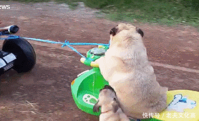 在公园没事,用手机照相.旁边一个老太太正在锻炼,看着挺精神.