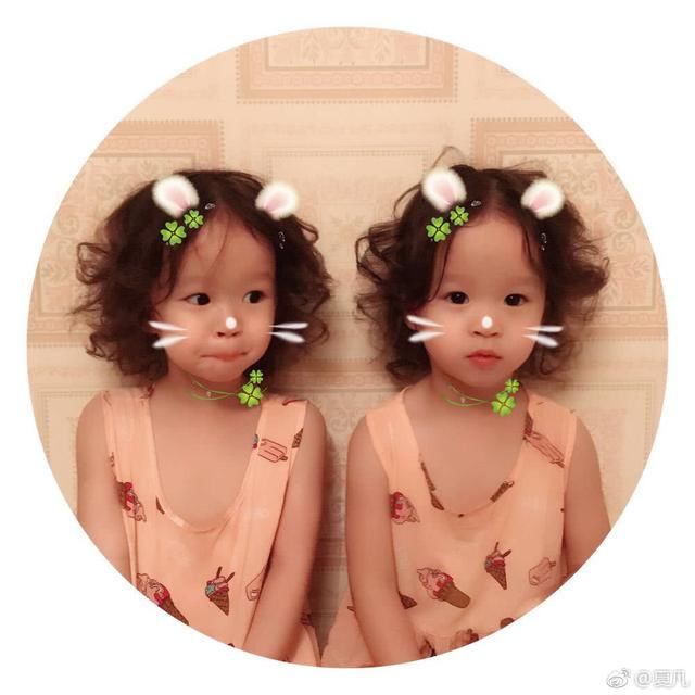 看夏凡的双胞胎女儿这么萌,相信这个神秘老婆也是美美的.