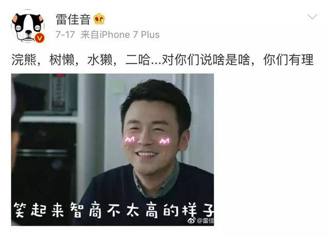 东北四大逗比男神之雷佳音:我长得很实力,但我骨子里很偶像