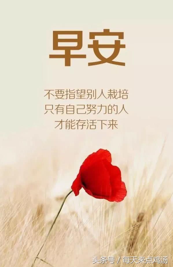 微信早安简短心情说说正能量励志心灵鸡汤句子 句句入