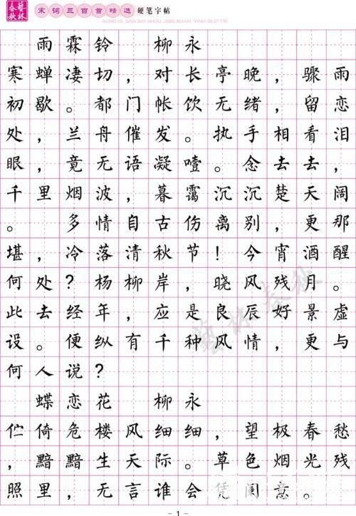 柳体楷书钢笔书法作品图片赏析