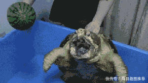 搞笑gif图片:姑娘不说光看她的表情我就明白