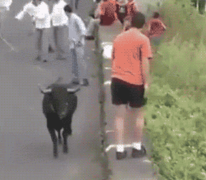 搞笑gif图片:当你自信满满回头时,殊不知尴尬的一幕即将上演!