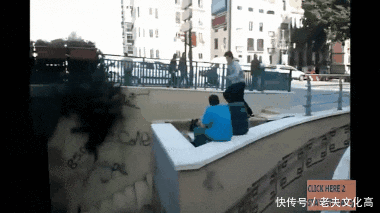 搞笑gif:好好走你的猫步,非要显摆你的风姿!