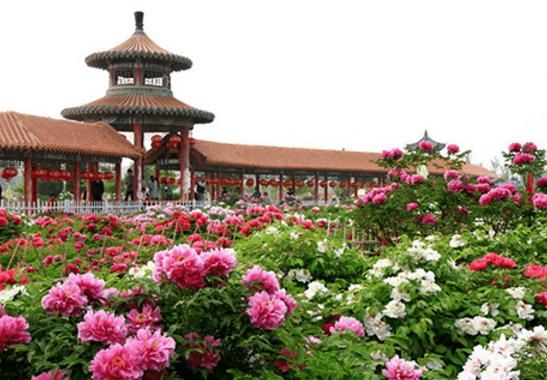 位于菏泽市人民北路,是世界上面积最大的牡丹观赏园.