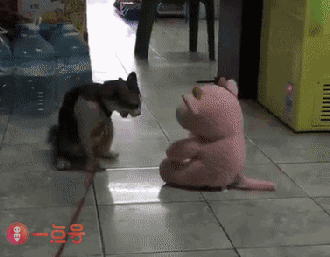 搞笑gif:妹子竟然能将它掰弯,男生看了都汗颜!