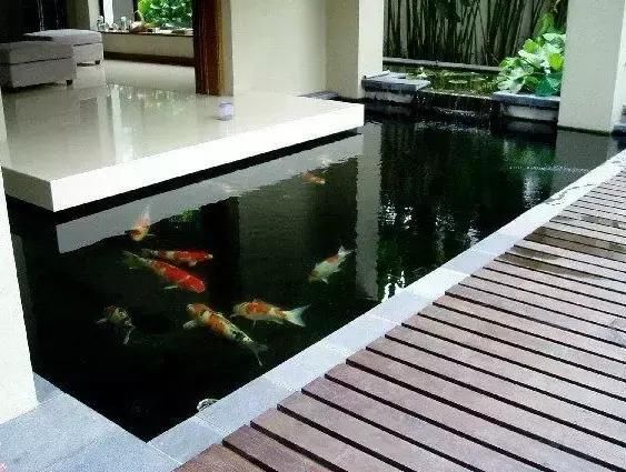 花园鱼池,你更喜欢中式还是日式呢?