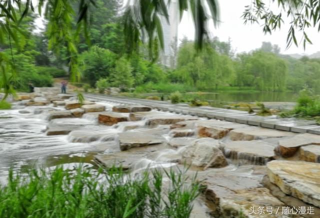 雨后潍坊省级大于河湿地公园漫水桥重现漫水景观
