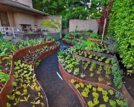家里有一个院子 可以把它打造成一个花园式的菜园 吃菜看景两不误