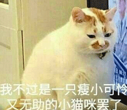 图片|我不过是只害羞、可怜又无助的小女孩表情包说表情瘦小猫咪图片