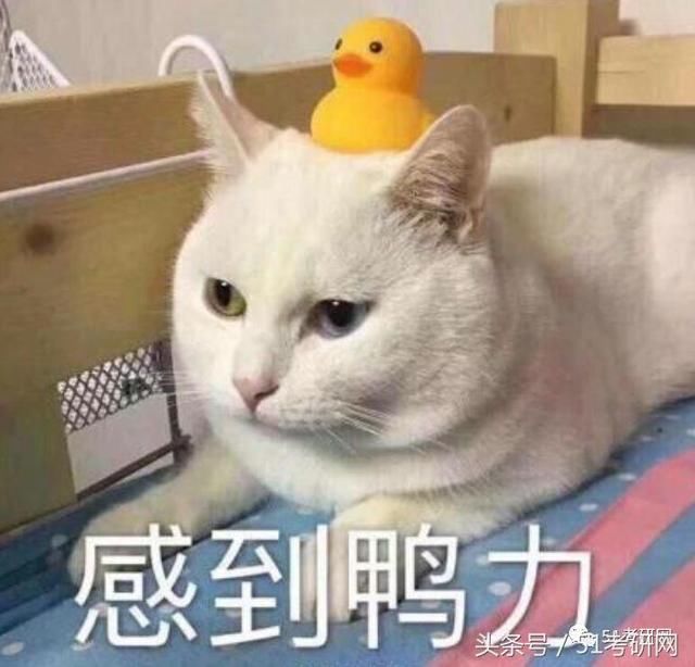 有压力就对了!